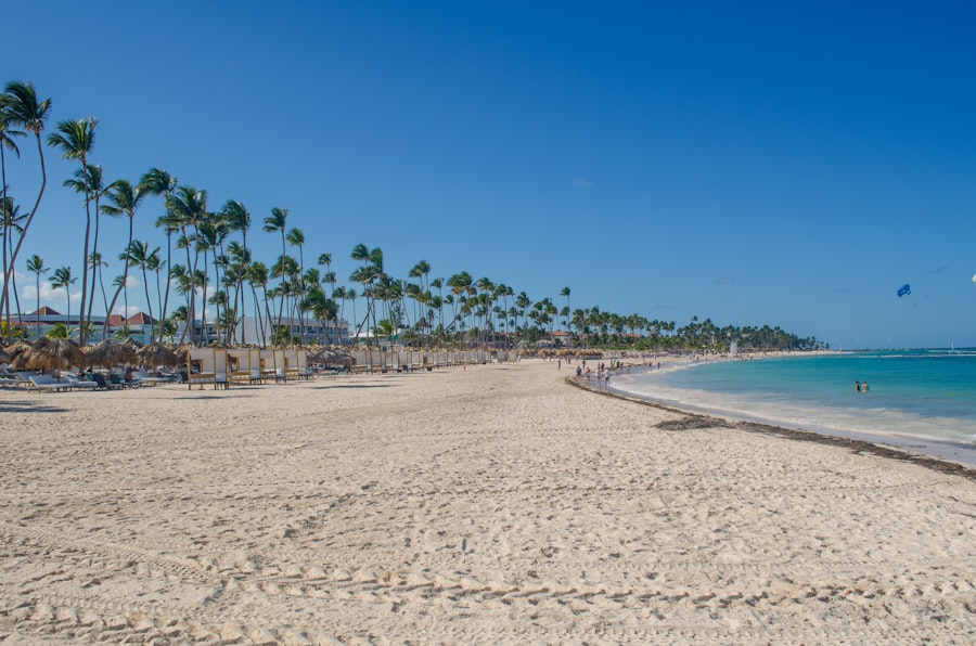 Wide sandy beach lined with palm trees in Punta Cana